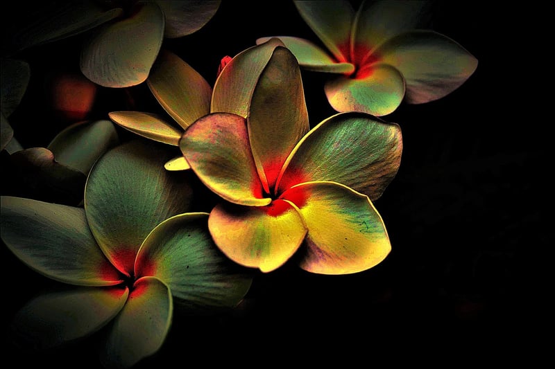 Energy Healing