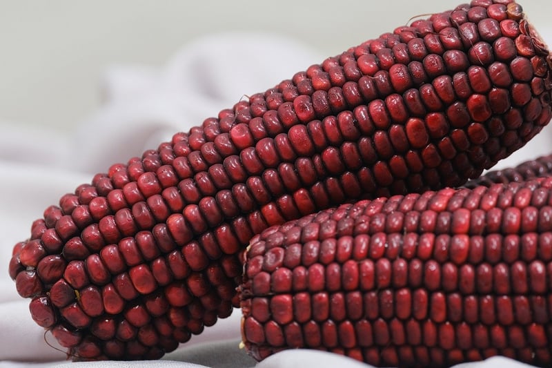 Quinoa