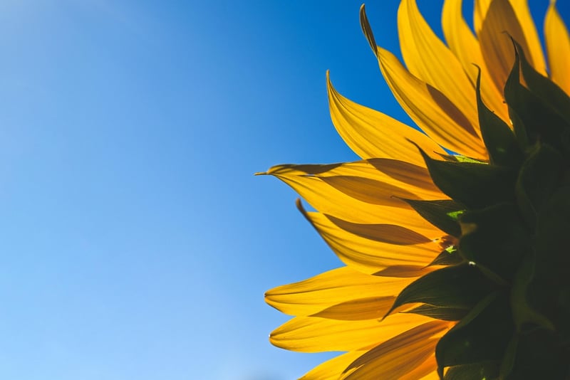 Positive Psychology